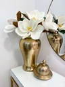 Tallo de Magnolia
