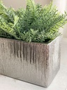 Arreglo Rectangular Rasgado