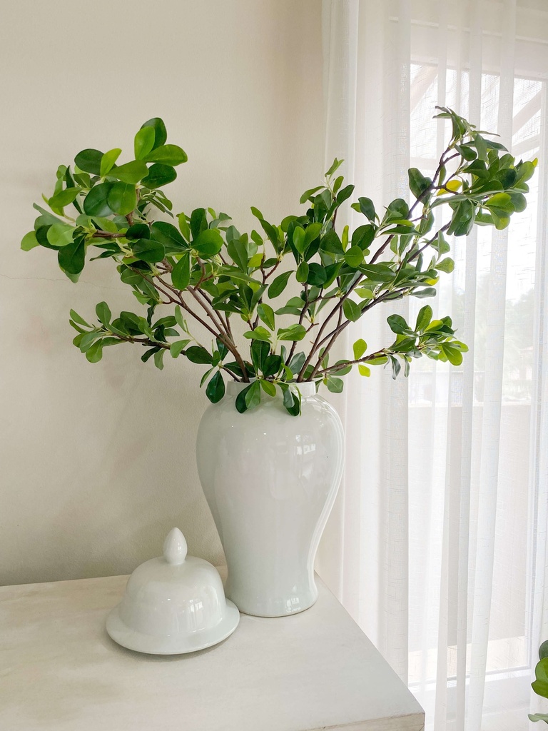 Rama de árbol con hoja