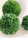 Esferas Boxwood