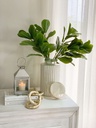 Pearl Jar
