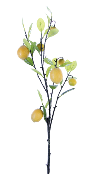 Rama de limón