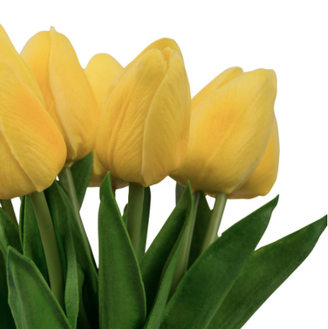 Bunch de 9 Tulipanes (Varios colores)