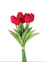 Bunch de 9 Tulipanes (Varios colores)