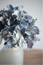 Rama de hortensias pequeña (varios colores)