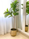 Macetera de hammered brass