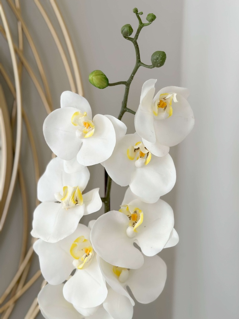 Orquídea en base martillada