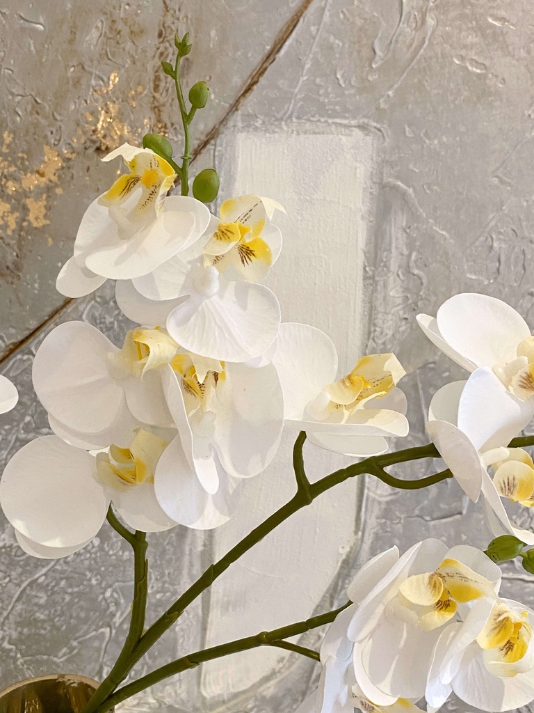 Mini Orquídea con 3 ramas