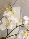 Mini Orquídea con 3 ramas