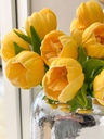 Bunch de 6 tulipanes abiertos amarillos