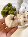 Set de 12 mini velvet pumpkins