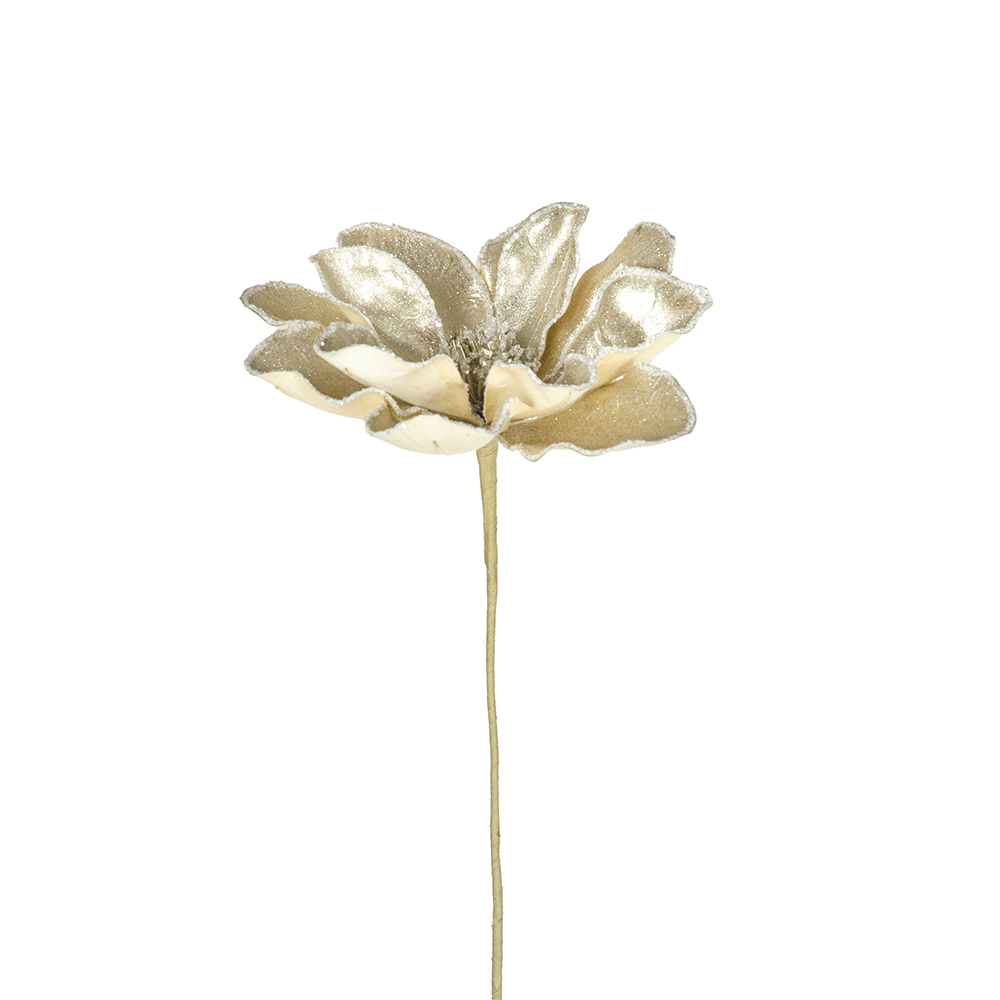 Magnolia Champagne