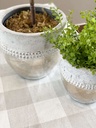Maceteras de mesa (2 tamaños)