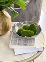 Bowl con orilla irregular