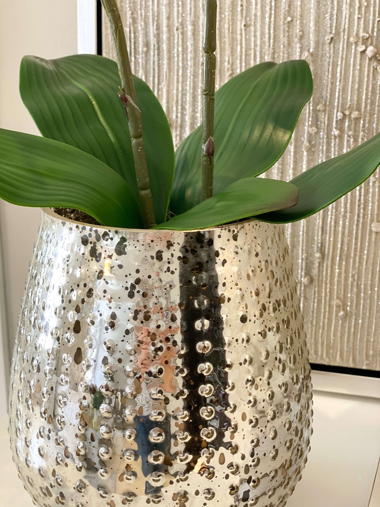 Arreglo de orquideas en base de mercury glass