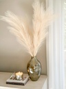Pampas (varios colores)