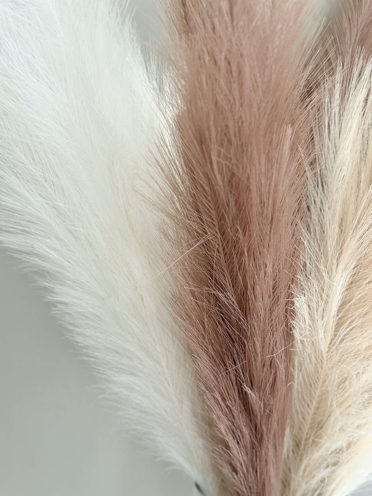 Pampas (varios colores)