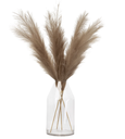 Pampas (varios colores)