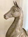 Caballo Peter