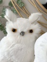 Set de Buhos Blancos
