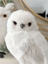 Set de Buhos Blancos