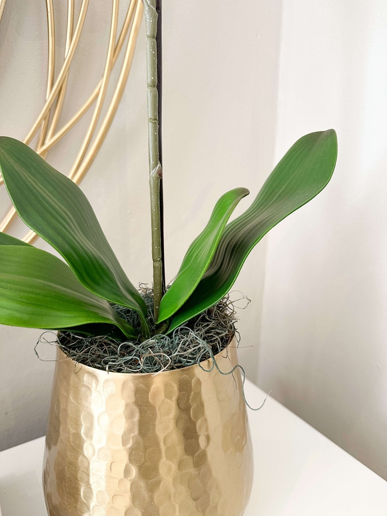 Orquídea en base martillada