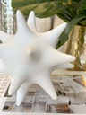 Estrella Blanca Decorativa