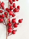 Rama de Cranberries Rojos