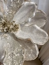 Magnolia plateada con Piedras