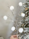 Rama snowy ball