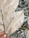 Rama hoja de magnolia orilla nevada