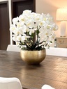 Arreglo de orquidea con 6 ramas en base dorada