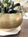 Arreglo de orquidea con 6 ramas en base dorada