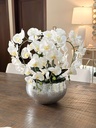 Arreglo de orquidea con 6 ramas en base dorada