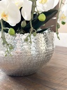 Arreglo de orquidea con 6 ramas en base dorada