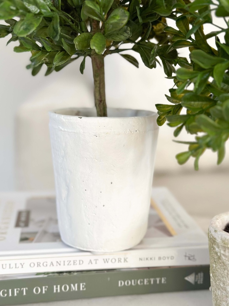 Arbolito boxwood con base (2 Tamaños)