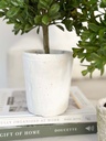 Arbolito boxwood con base (2 Tamaños)