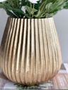Base ribbed de resina (2 Colores)
