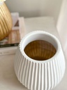 Base ribbed de resina (2 Colores)