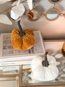 Velvet pumpkins