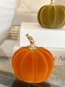 Pumpkin velvet pequeña