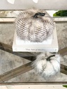 Pumpkin faux fur con lineas