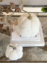Pumpkin fuzzy blanca
