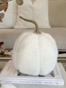 Pumpkin fuzzy blanca