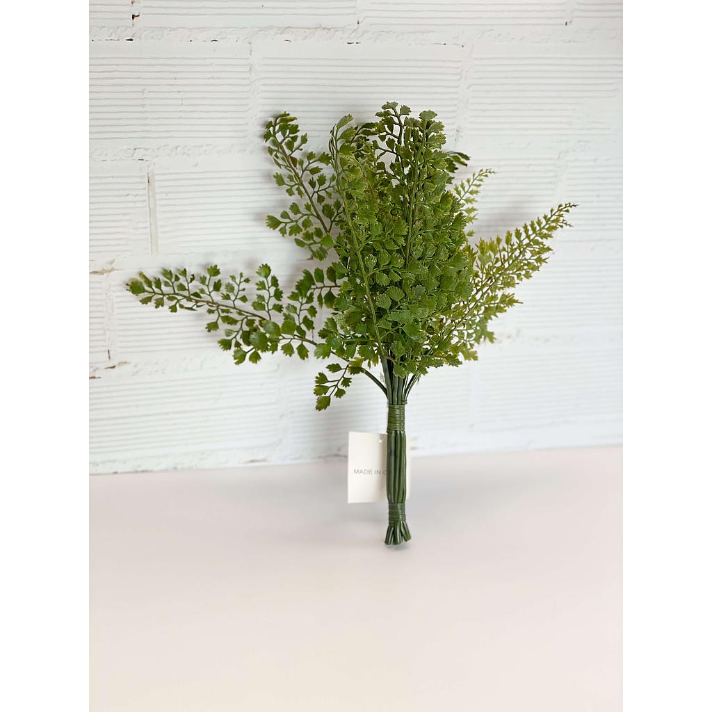 Bunch de culantrillo