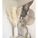 Pampas altas