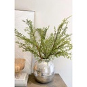 Rosemary branch