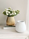 Base ribbed de resina (2 Colores)