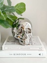 Skull plateada