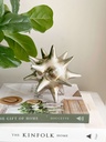 Estrella plateada decorativa